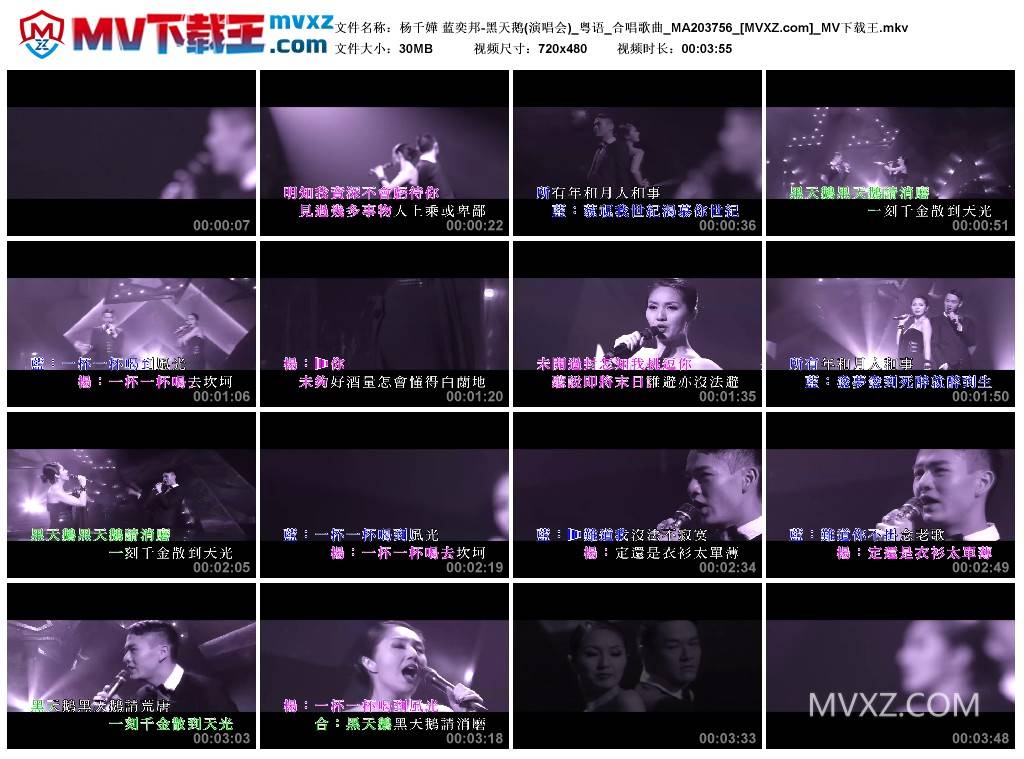 杨千嬅 蓝奕邦-黑天鹅(演唱会)_粤语_合唱歌曲_MA203756